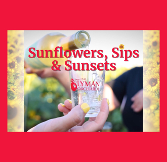 Sunflowers, Sips & Sunsets at Lyman Orchard