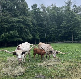 Goshen Open Farm Tour