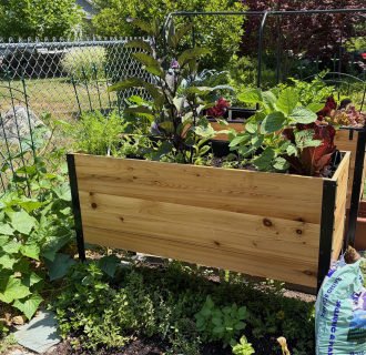 Raised bed gardens in a backyard. 