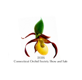CT Orchid Society's Orchid Harvest Show and Sale