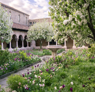 The Met Cloisters Gardens