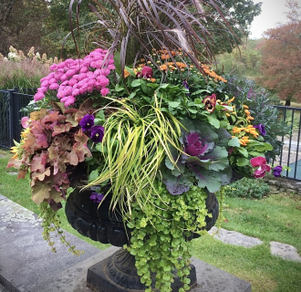 A beautiful fall container.