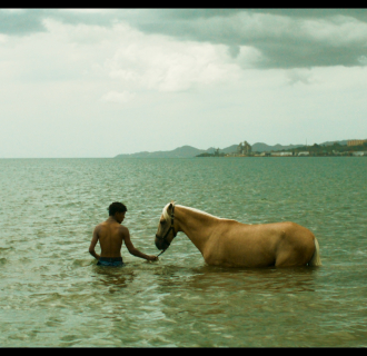 Esta Isla