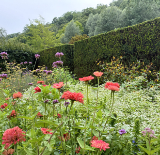 A peaceful scene of Hollister House Garden