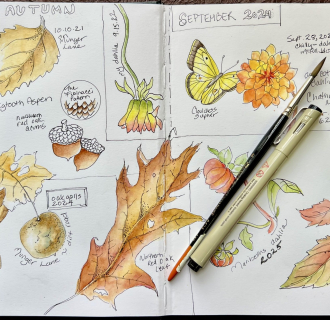 A watercolor journal filled with fall paintings.