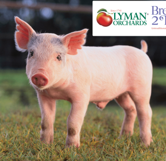 Oink and Om Yoga 