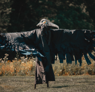 stilted perfomer as raven