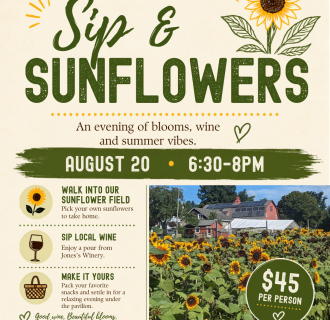 Sip and Sunflowers at Massaro Community Farm
