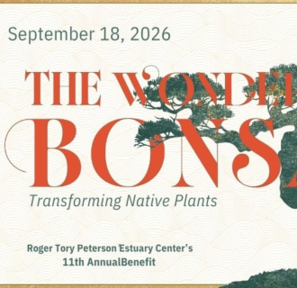 The Wonder of Bonsai: Transforming Native Plants