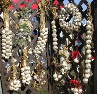 Bethlehem Garlic and Harvest Festival