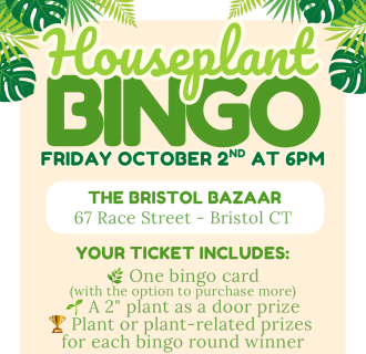 Houseplant Bingo