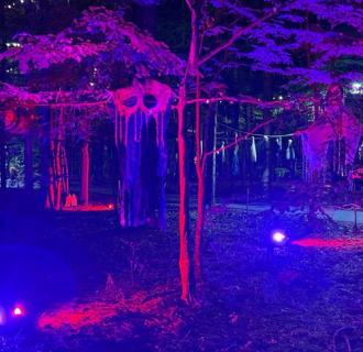 Join us for ziplining and climbing to your favorite Halloween music, glowing lights and a fa-BOO-lous time!