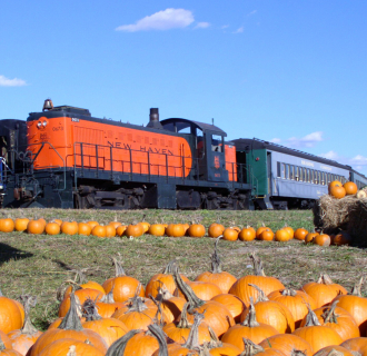 "Husking Bee" train at the Pumpkin Patch