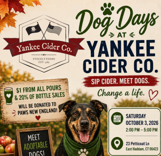 A dog with the company logo and the details of the event