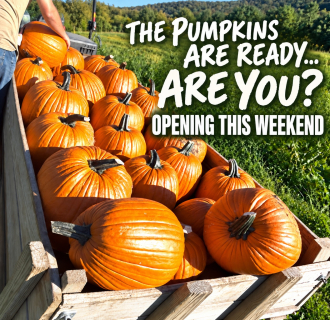 Fall Preview Weekend Graphic