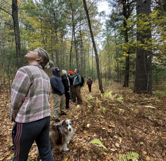 Hikers enjoy wooded trail