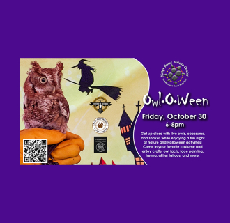 Owloween