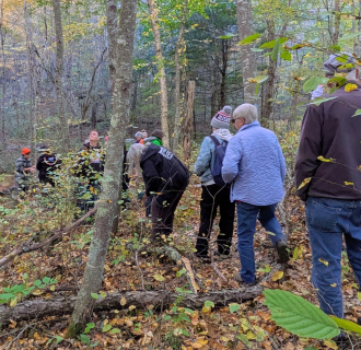 Group of people hiking in woods