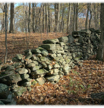 Moss-covered stone wall in autumn forest with fallen leaves