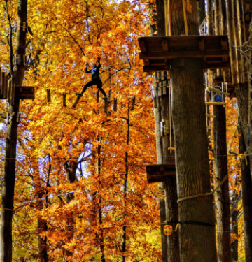 Person crossing elevated wooden obstacle course among autumn trees