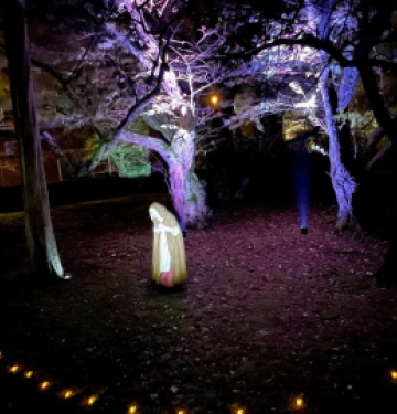 Witch Trials
