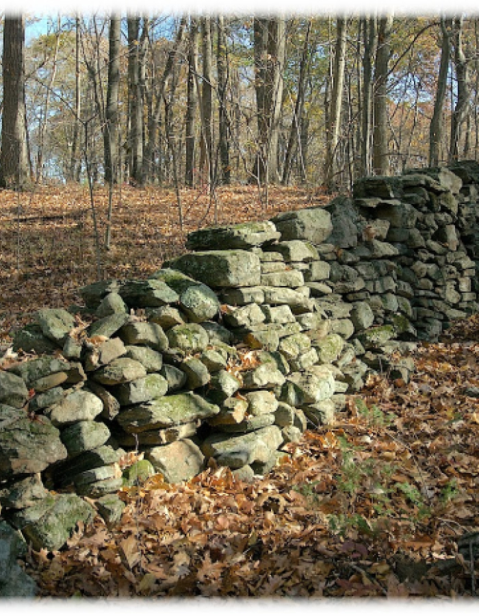 Moss-covered stone wall in autumn forest with fallen leaves