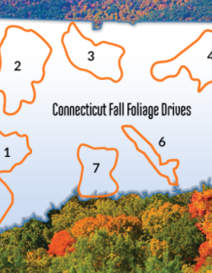 CT foliage report: where and when to see changing fall colors