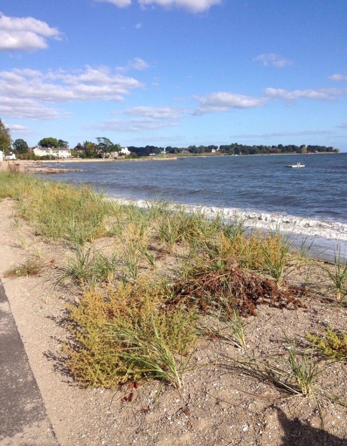 Discover Southport Beach: A Complete Guide to Fairfield, CT’s Hidden Gem