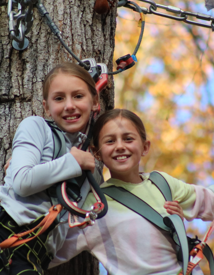 Let's get together and celebrate Rosh Hashanah from the trees!