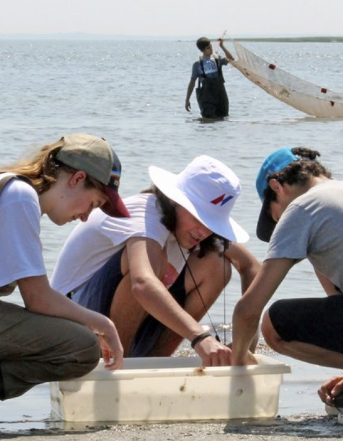 Students at a beach look through a bin to observe marine organisms.