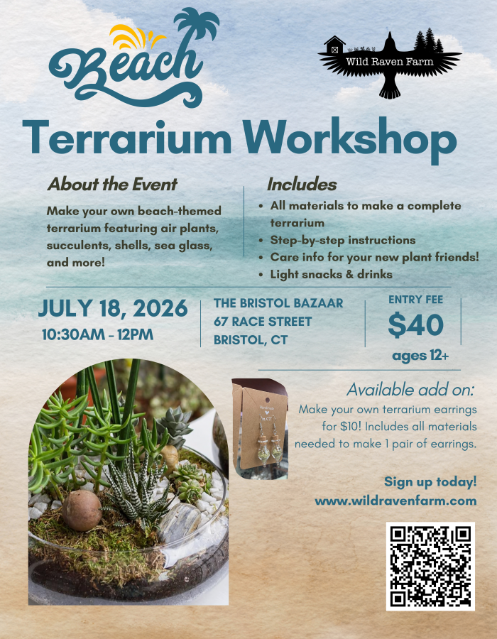Beach Terrarium Workshop