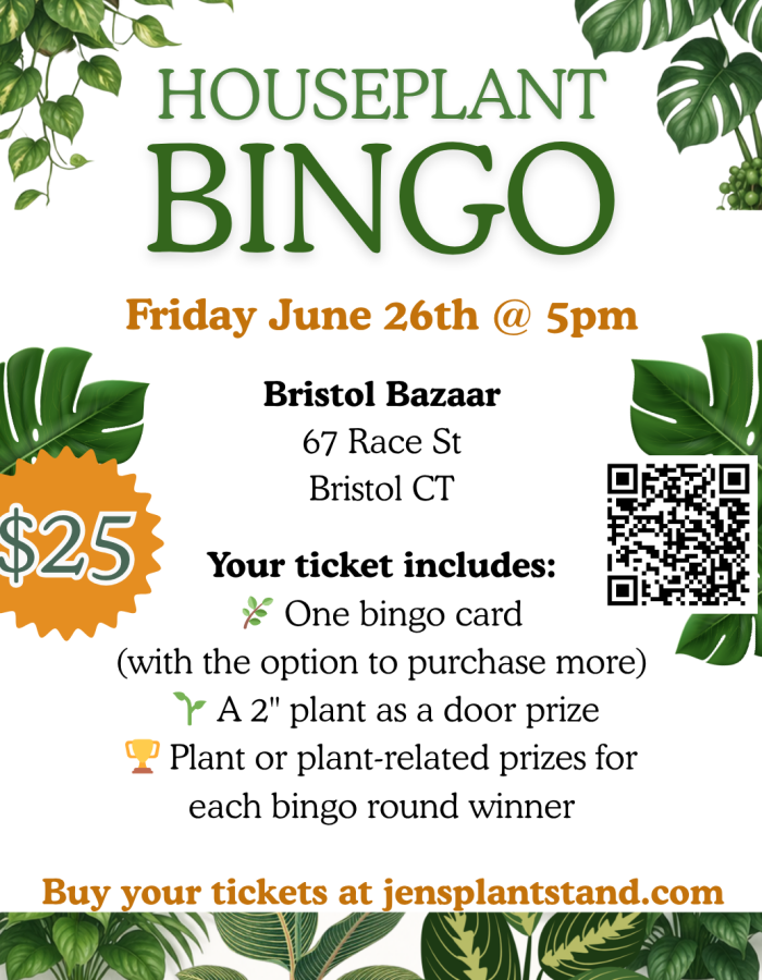 Houseplant Bingo