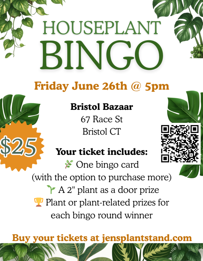 Houseplant Bingo