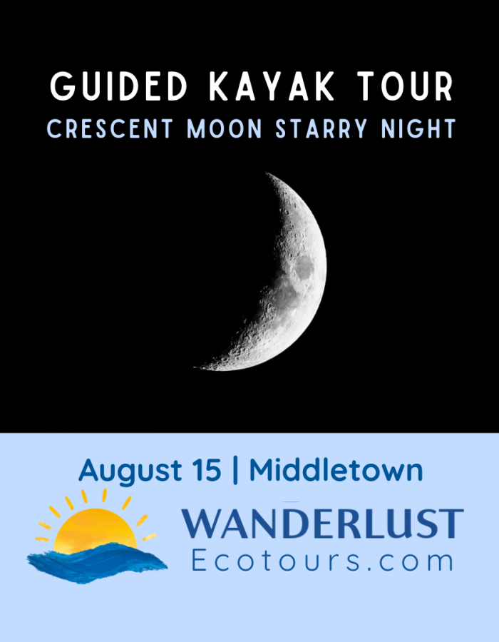 Guided Kayaking Tour - Crescent Moon Starry Night - Wanderlust Ecotours - Middletown, CT