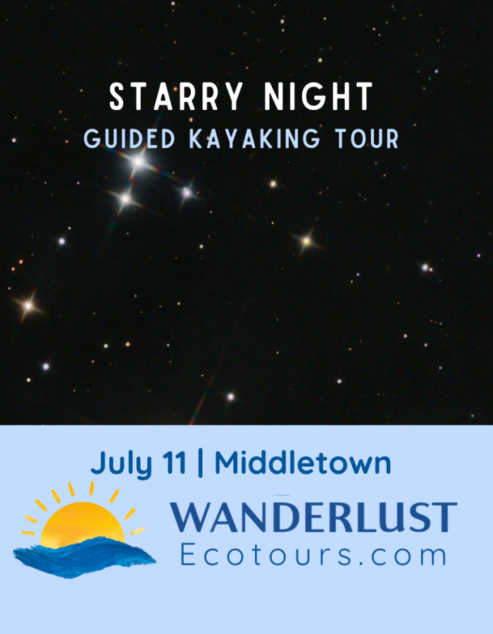 Guided Kayaking: Starry Night Tour