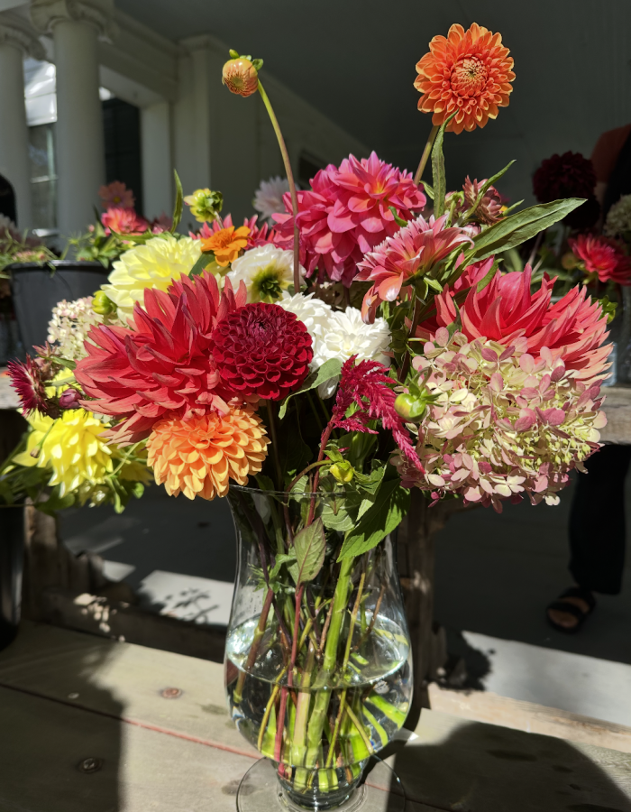 Create a stunning arrangement of dahlias!