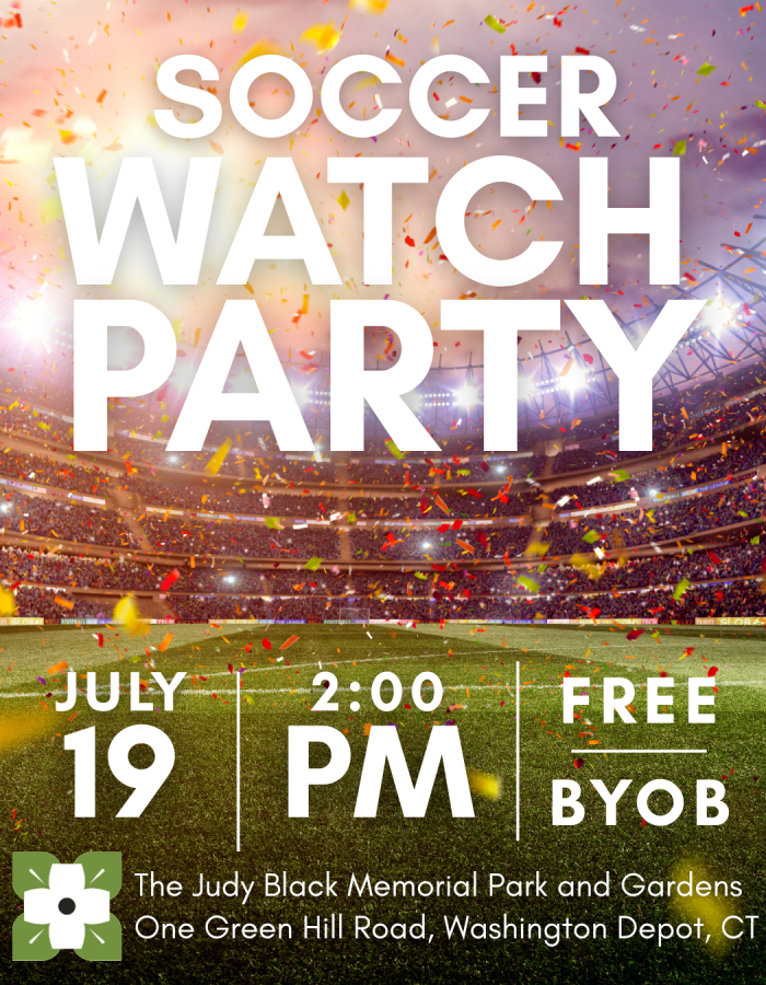 soccer watch party