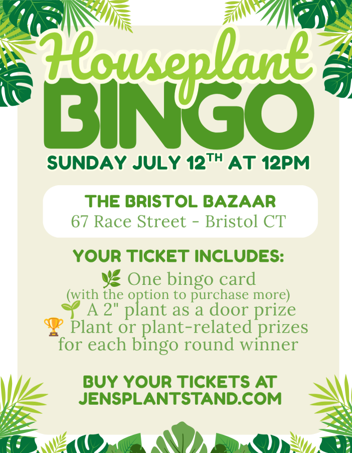 Houseplant Bingo!