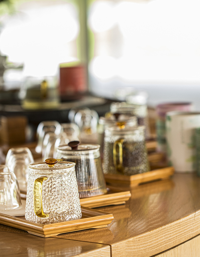Journey Into the World of Tea