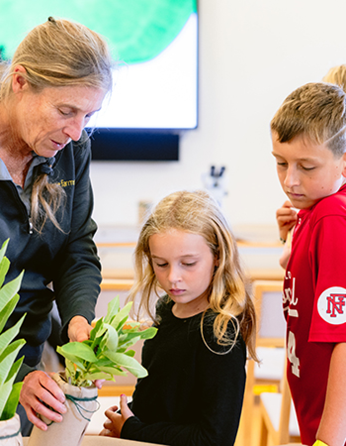 Nature Studio for Children