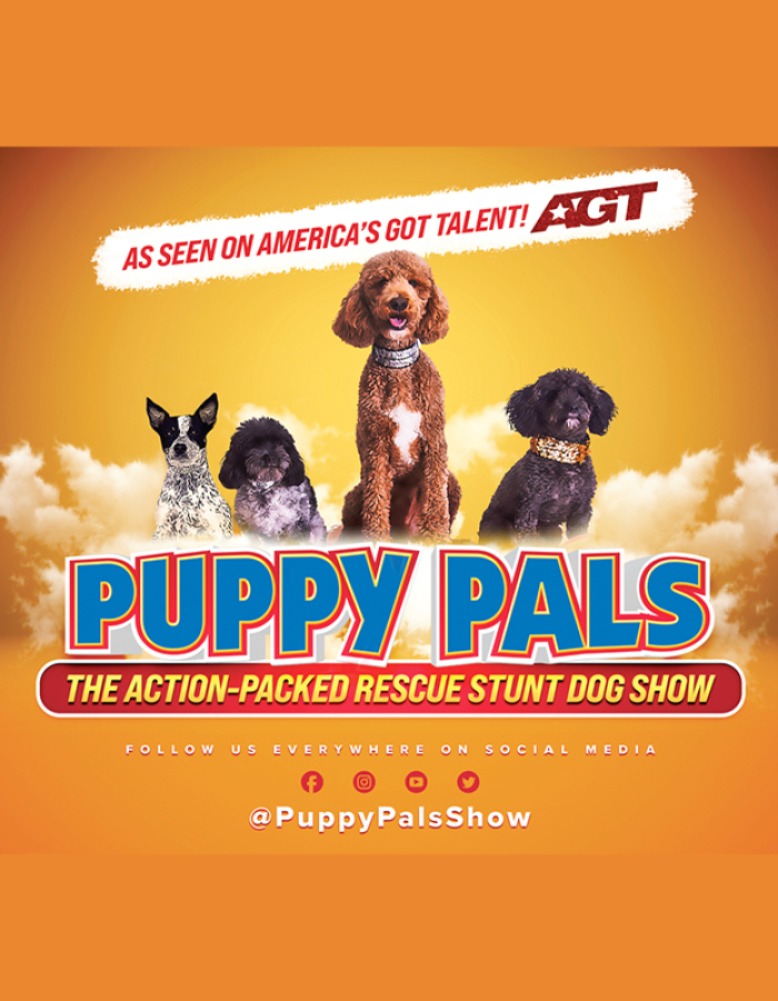 Action Packed Comedic Stunt Dog Show