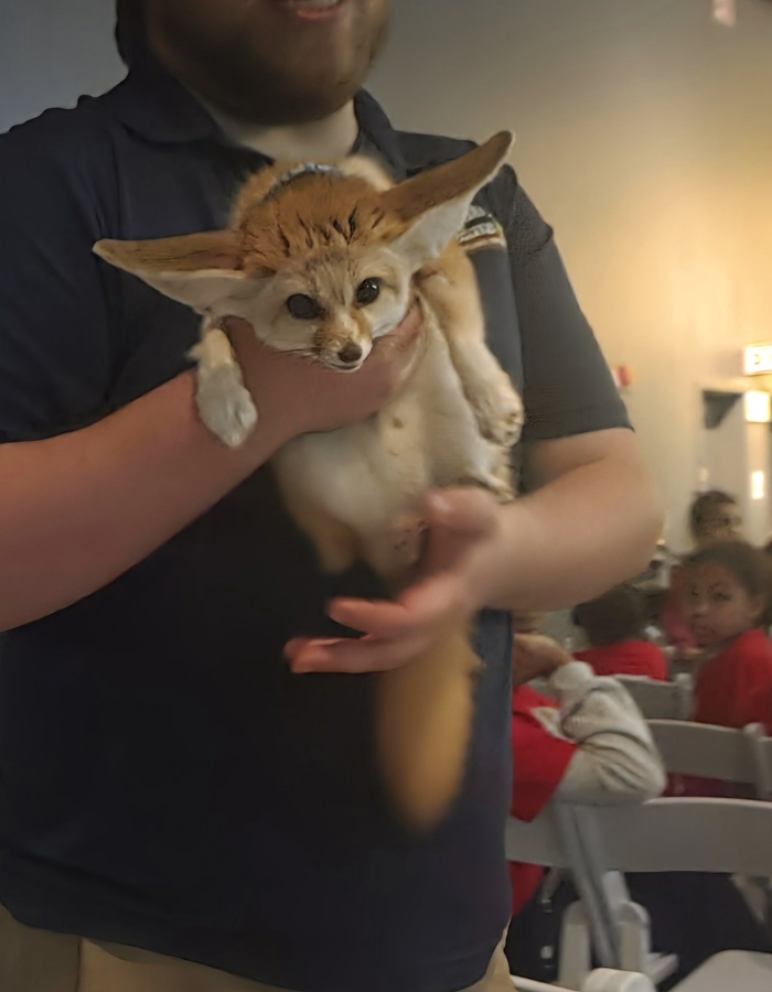 Wildlife Encounters