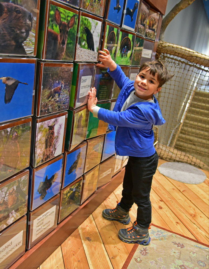 Literacy Tree House
