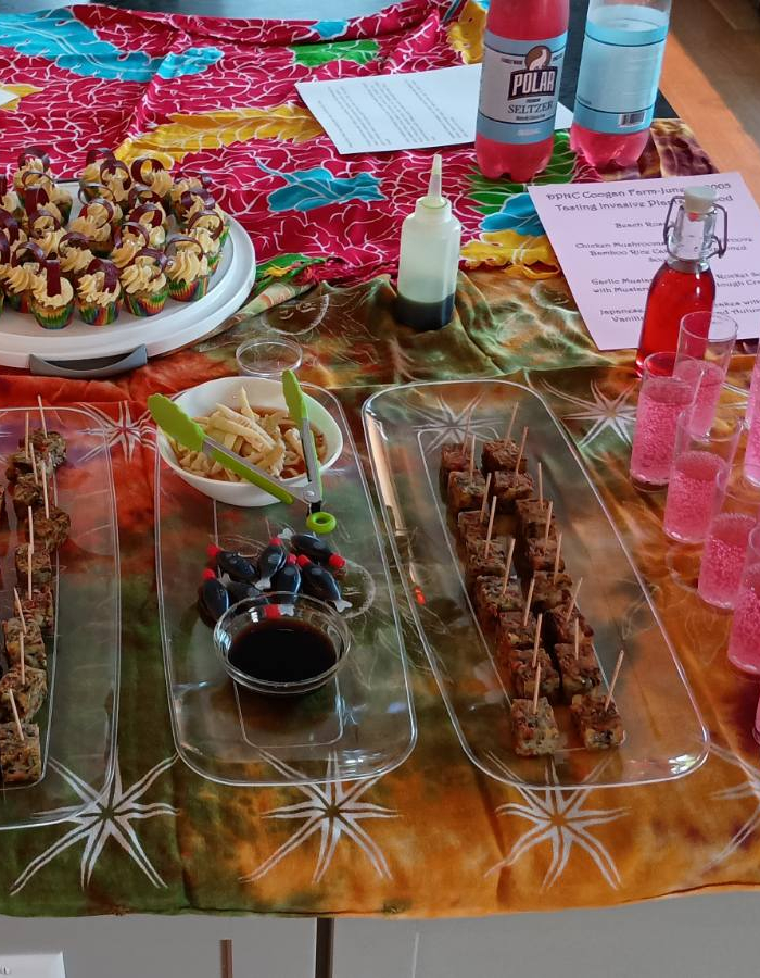 A great spread of food and drinks made out of invasives, made during the Eat Your Invasives cooking class.