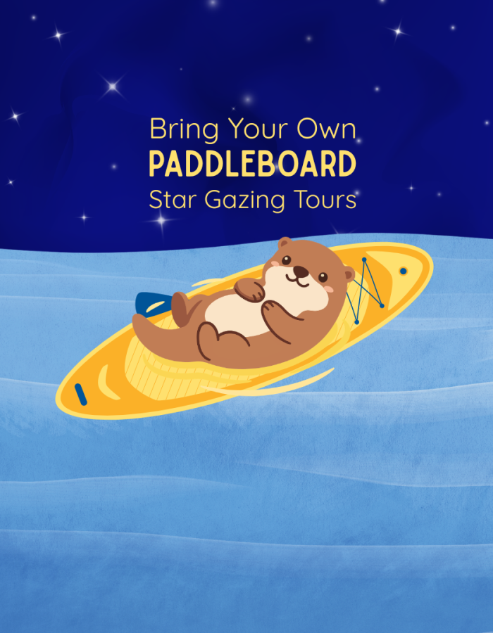 Guided Paddleboard Star Gazing Astronomy Tour
