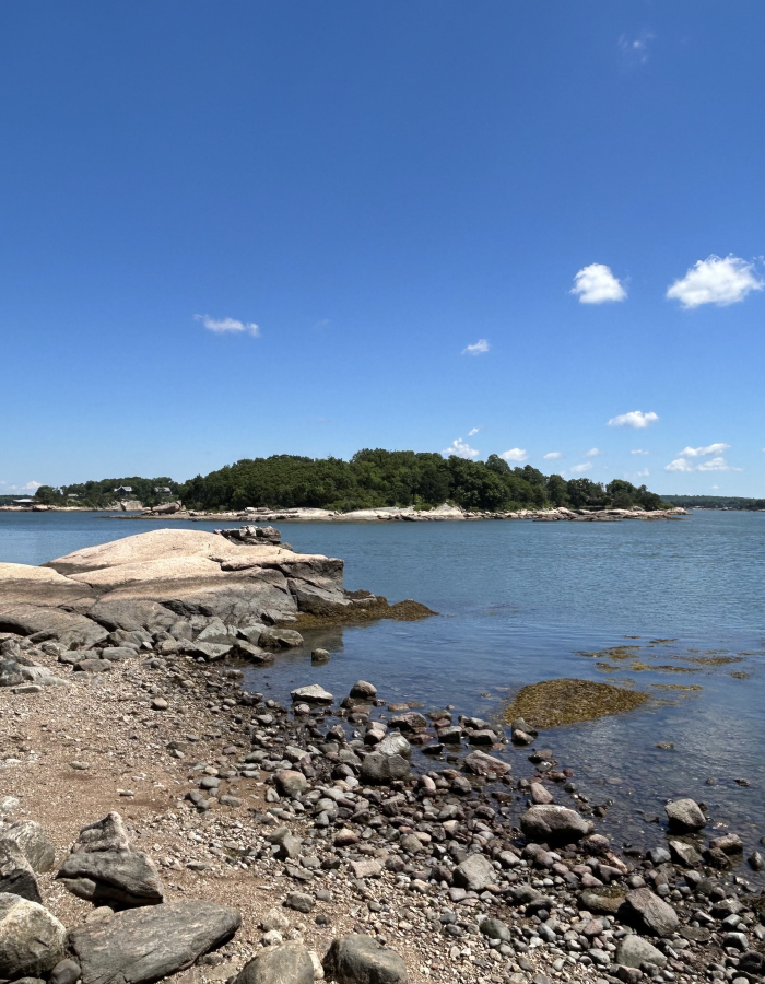 Guided Kayaking Birding Tour of the Thimble Islands