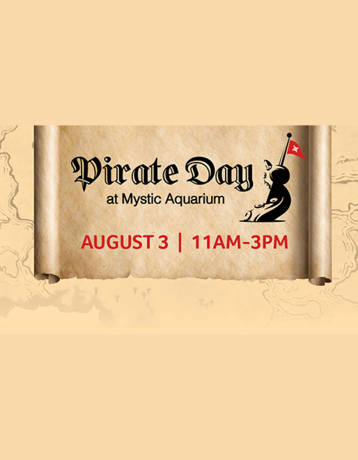 Pirate Day at Mystic Aquarium