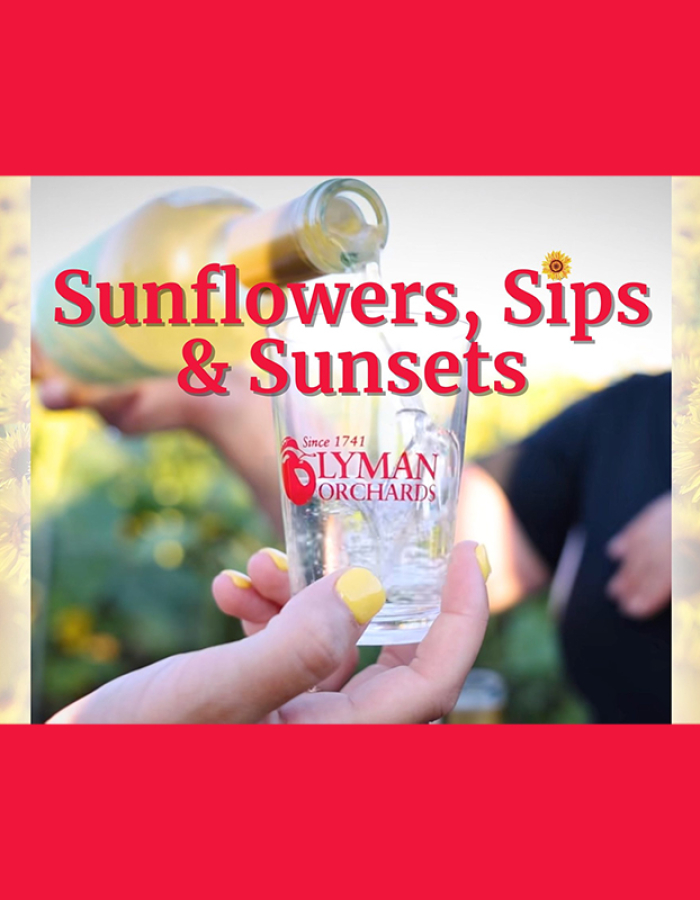 Sunflowers, Sips & Sunsets at Lyman Orchard