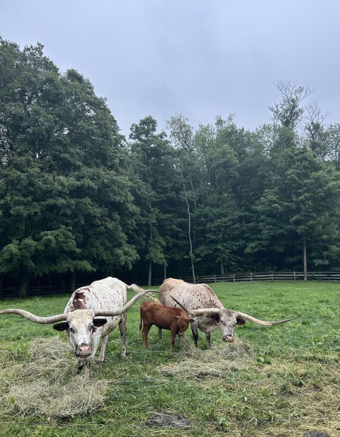 Goshen Open Farm Tour