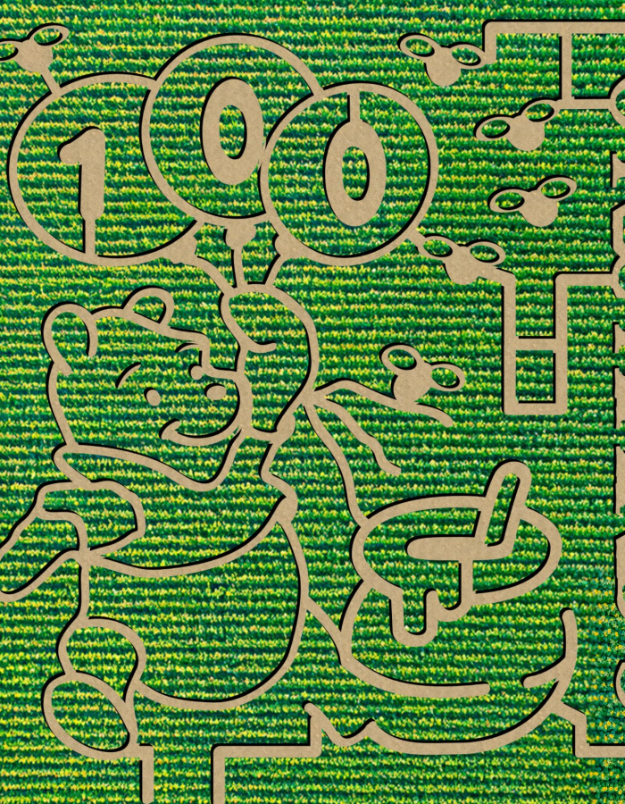 Winnie-The-Pooh